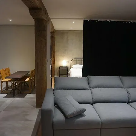 Loft 7calles, Casco Viejo. Bio Appartement